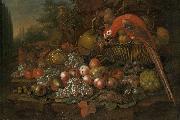 Francis Sartorius Still life with fruits and a parrot oil